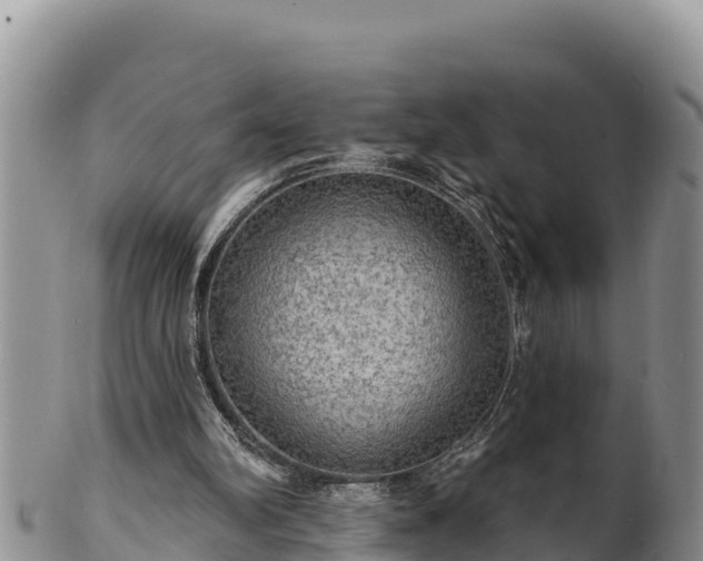 X0000102240102200808011257