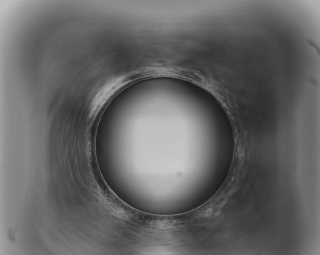 X0000102240103200808011257