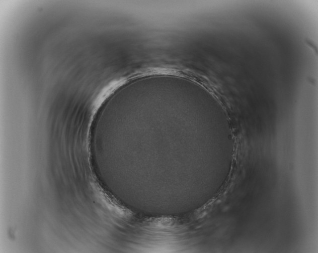 X0000102240104200808011257