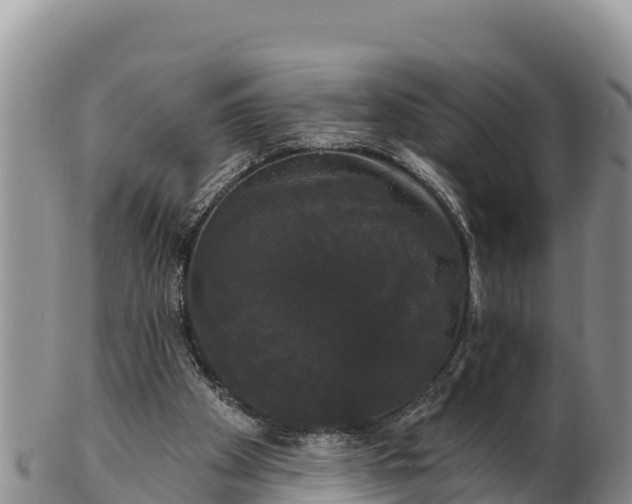 X0000102240105200808011257