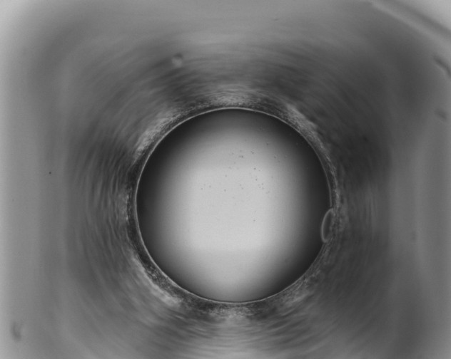 X0000102240106200808011257