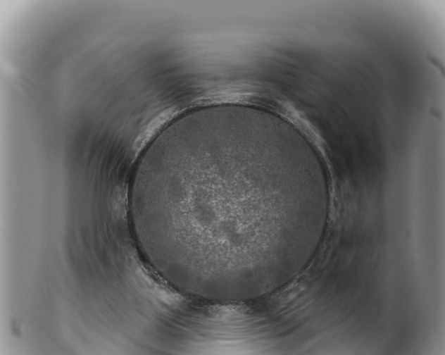 X0000102240107200808011257