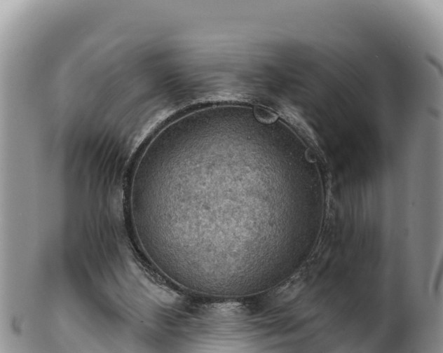 X0000102240108200808011257