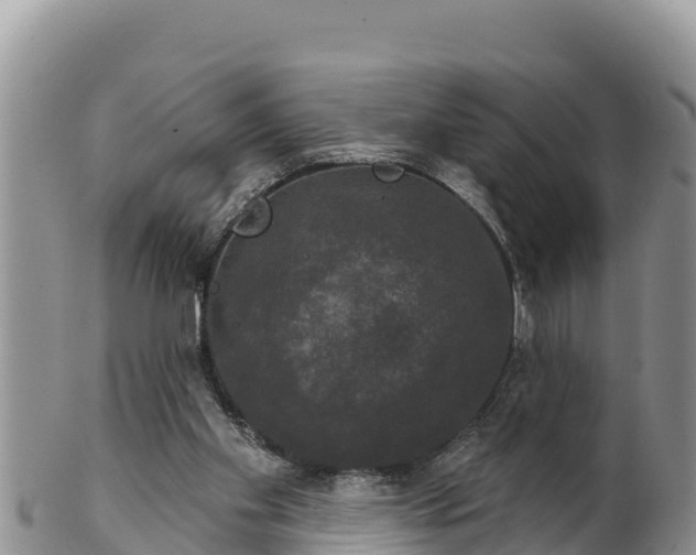 X0000102240109200808011257