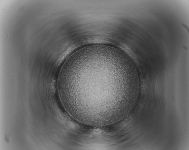 X0000102240111200808011257