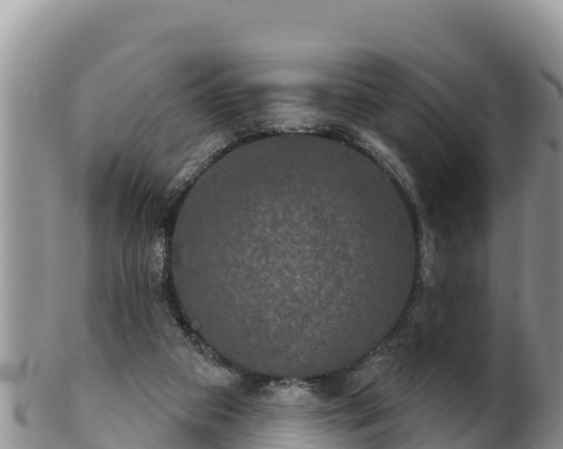 X0000102240113200808011257