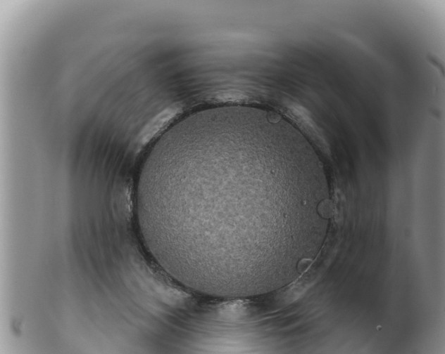 X0000102240116200808011257