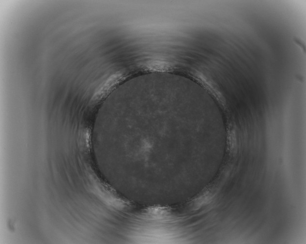 X0000102240117200808011257