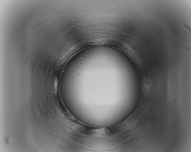 X0000102240118200808011257