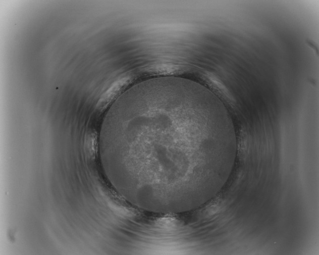 X0000102240119200808011257