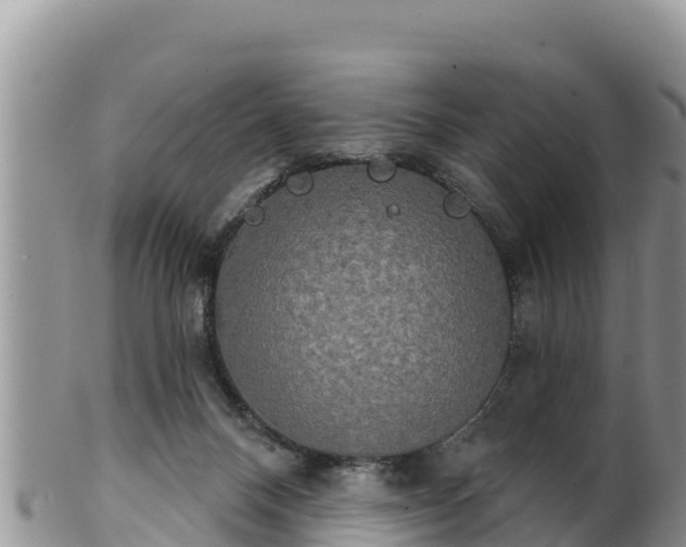 X0000102240120200808011256