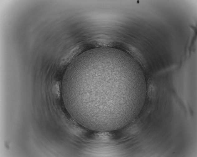 X0000102240121200808011256