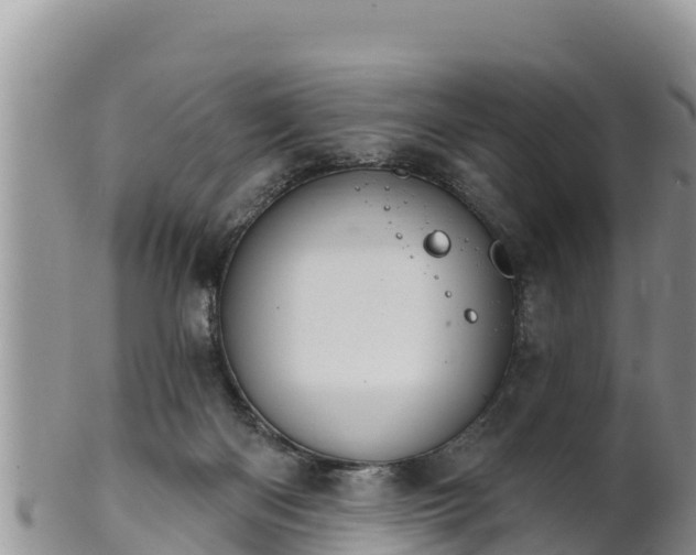 X0000102240122200808011256