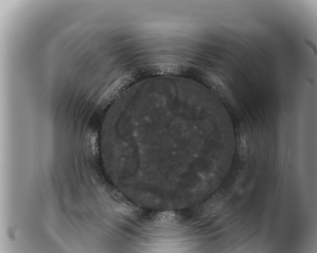 X0000102240123200808011256