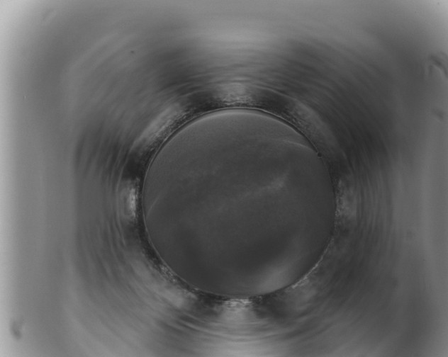 X0000102240124200808011256