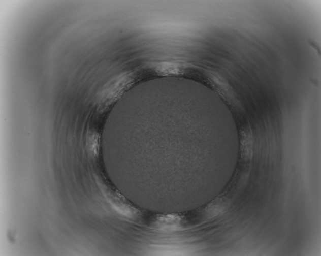 X0000102240125200808011256