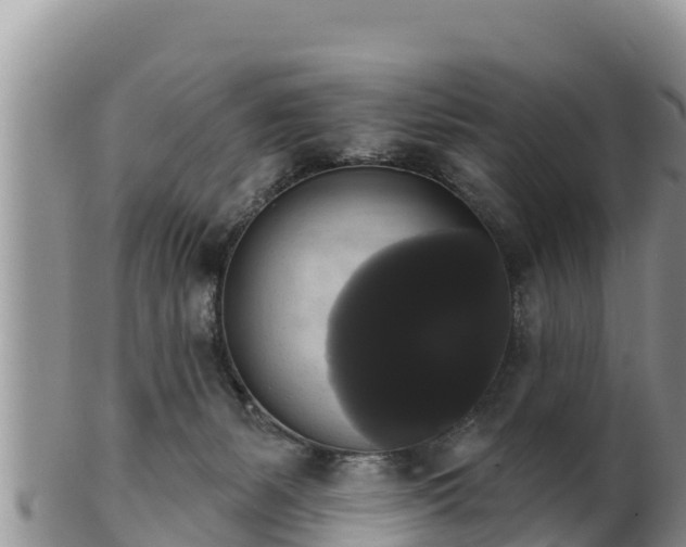 X0000102240127200808011256