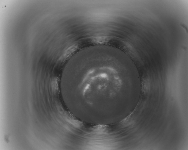 X0000102240128200808011256