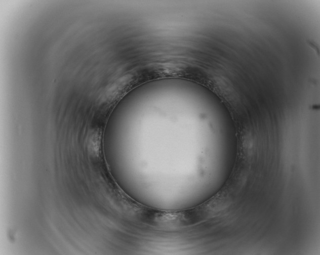 X0000102240129200808011256