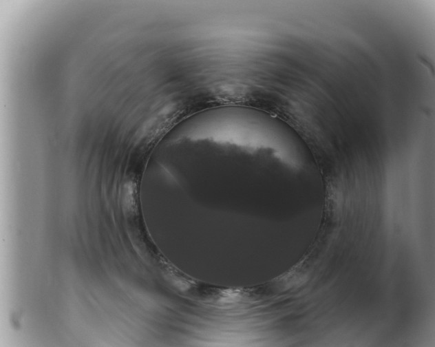 X0000102240130200808011256