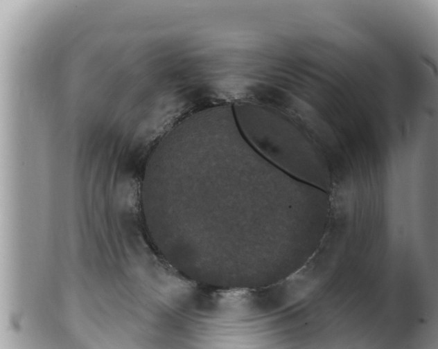 X0000102240132200808011256