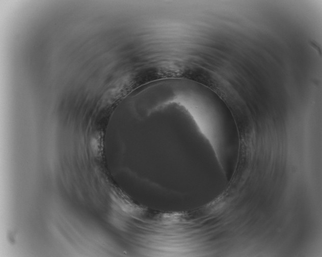 X0000102240134200808011256