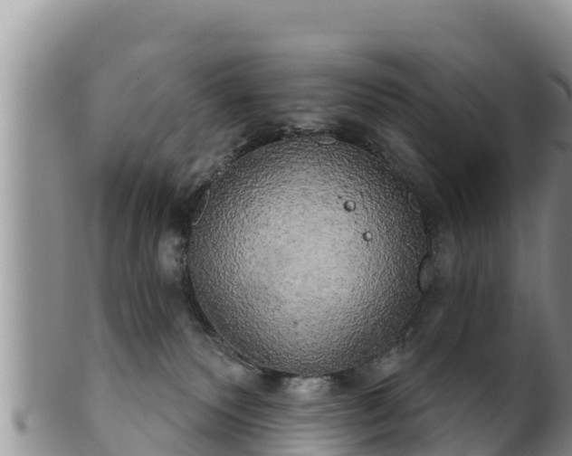 X0000102240135200808011256