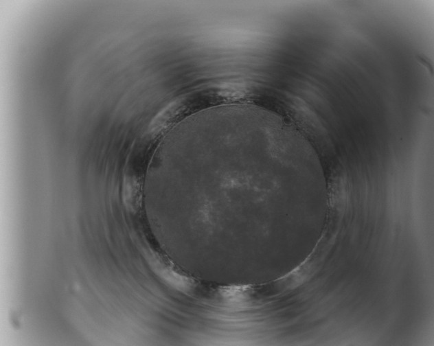 X0000102240136200808011256