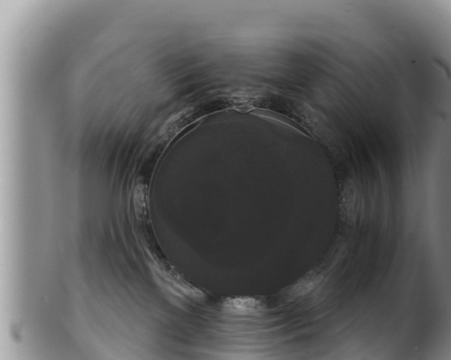 X0000102240137200808011256