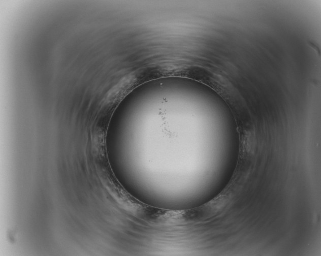 X0000102240138200808011256