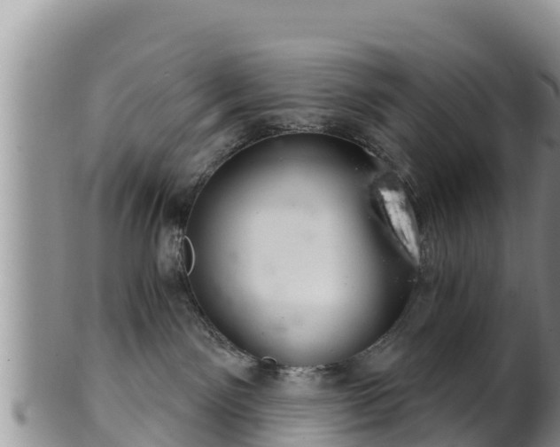 X0000102240141200808011256