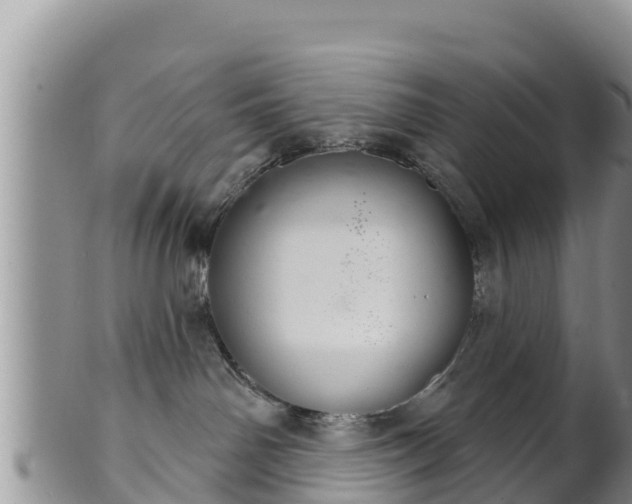 X0000102240142200808011256