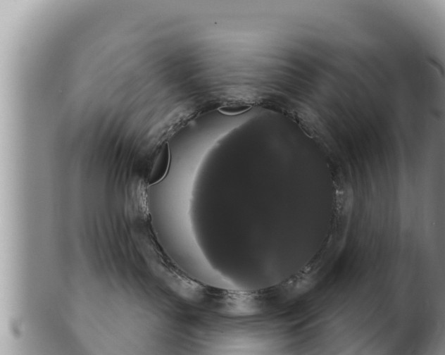 X0000102240143200808011256