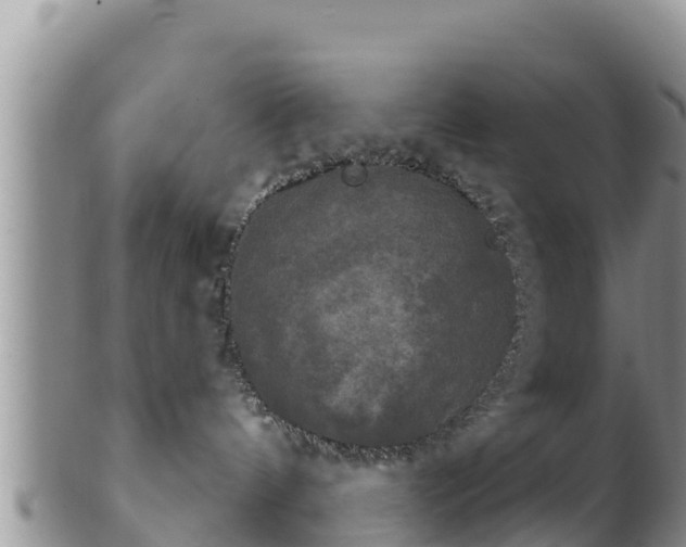 X0000102240144200808011256