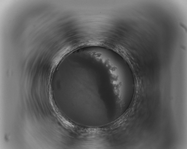 X0000102240145200808011255