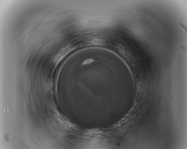 X0000102240146200808011256