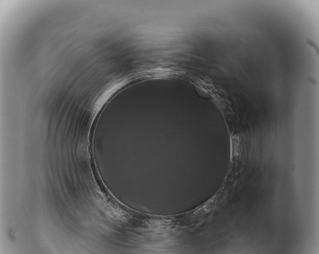 X0000102240147200808011256