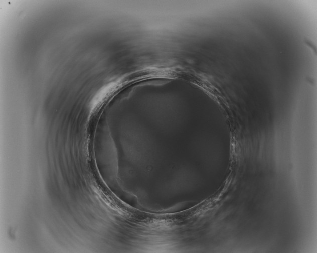 X0000102240149200808011256