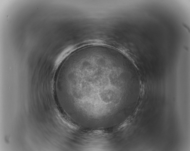 X0000102240151200808011256