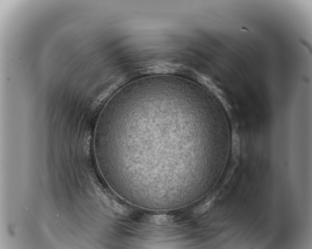 X0000102240153200808011256