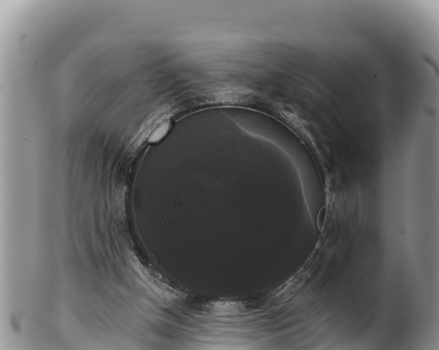 X0000102240154200808011256