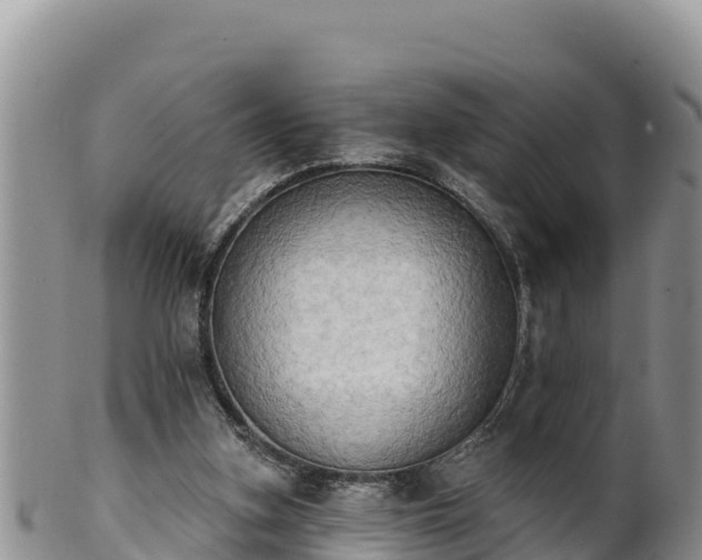 X0000102240155200808011256