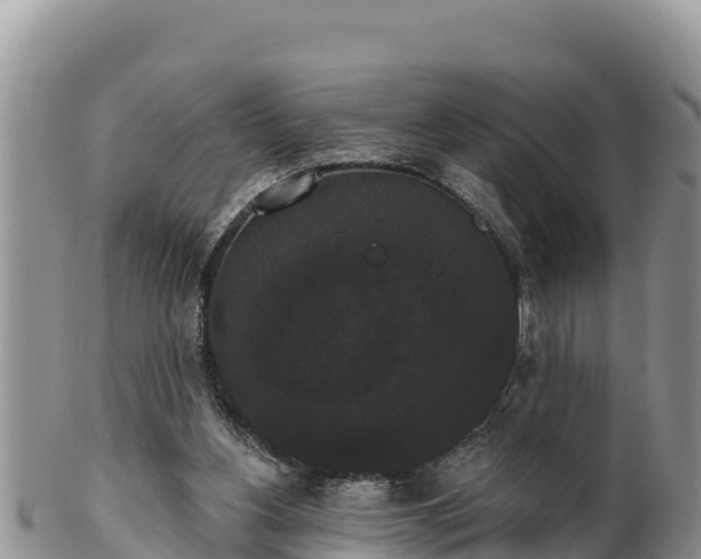 X0000102240156200808011256