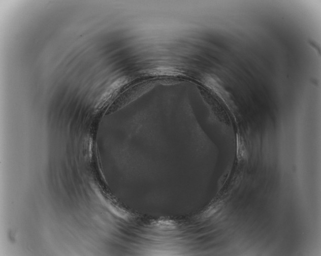 X0000102240157200808011256