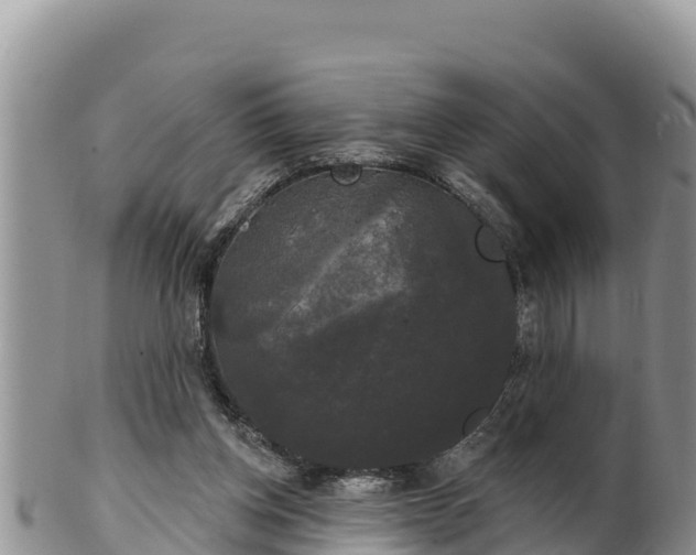 X0000102240158200808011256