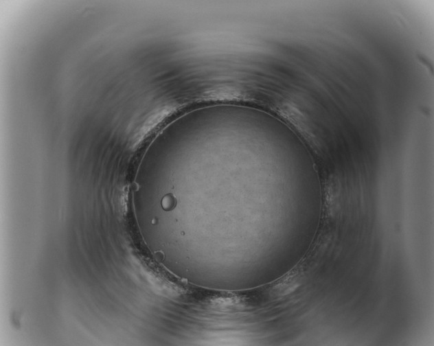 X0000102240160200808011256