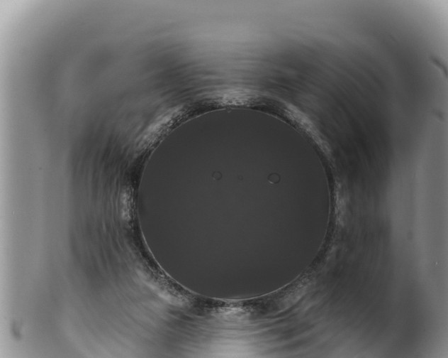 X0000102240161200808011256