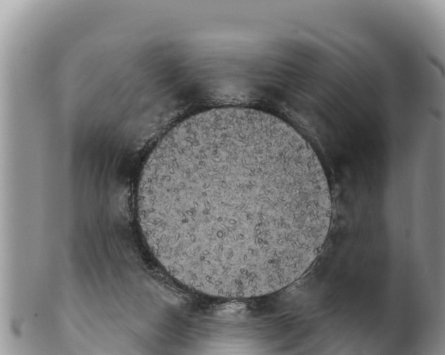 X0000102240162200808011256