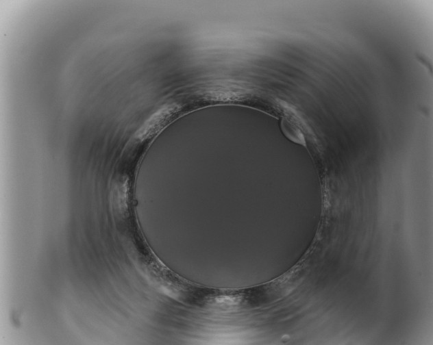 X0000102240163200808011256