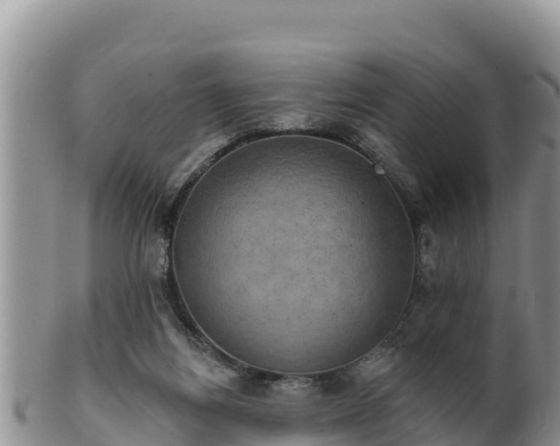 X0000102240164200808011256